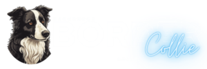 Border collie logo largo
